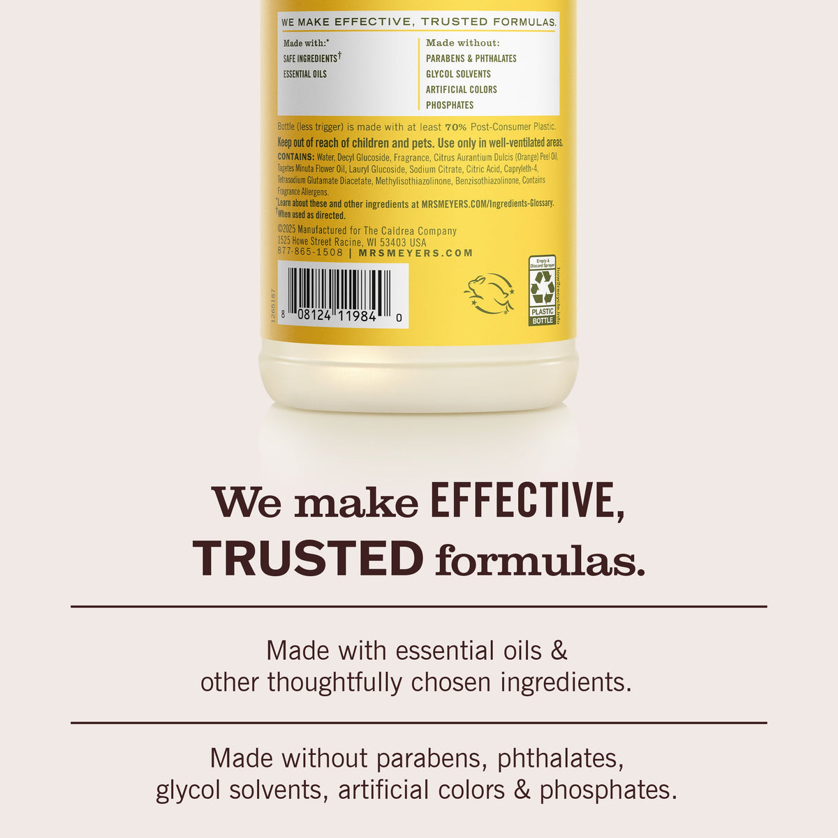 Dandelion Multi-Surface Everyday Cleaner - Fresh Cleaning
