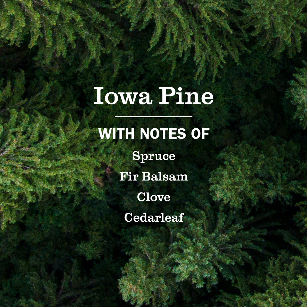Iowa Pine Soy Candle Large - Home Fragrance