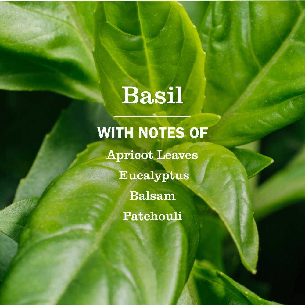 Basil Liquid Hand Soap Refill - Hand Care