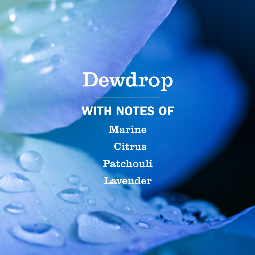 Dewdrop Liquid Hand Soap - Hand Care