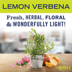 Lemon Verbena Baking Soda Cream Cleaner - 16 oz - Fresh Cleaning