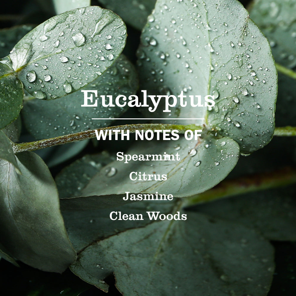 Eucalyptus Multi-Surface Everyday Cleaner - Fresh Cleaning