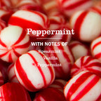 Peppermint Liquid Hand Soap - Hand Care