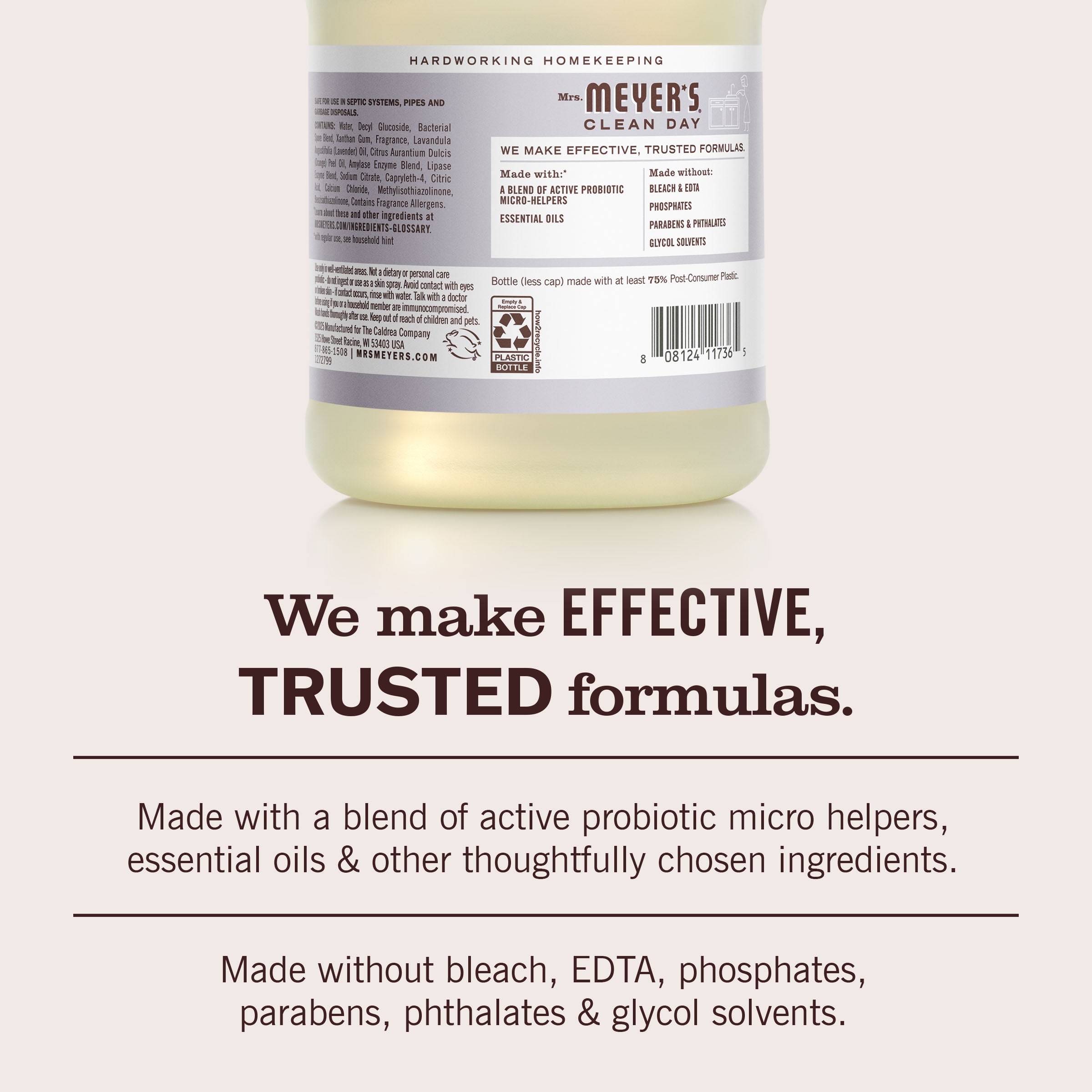 Lavender Probiotic Drain Maintenance - Fresh Cleaning