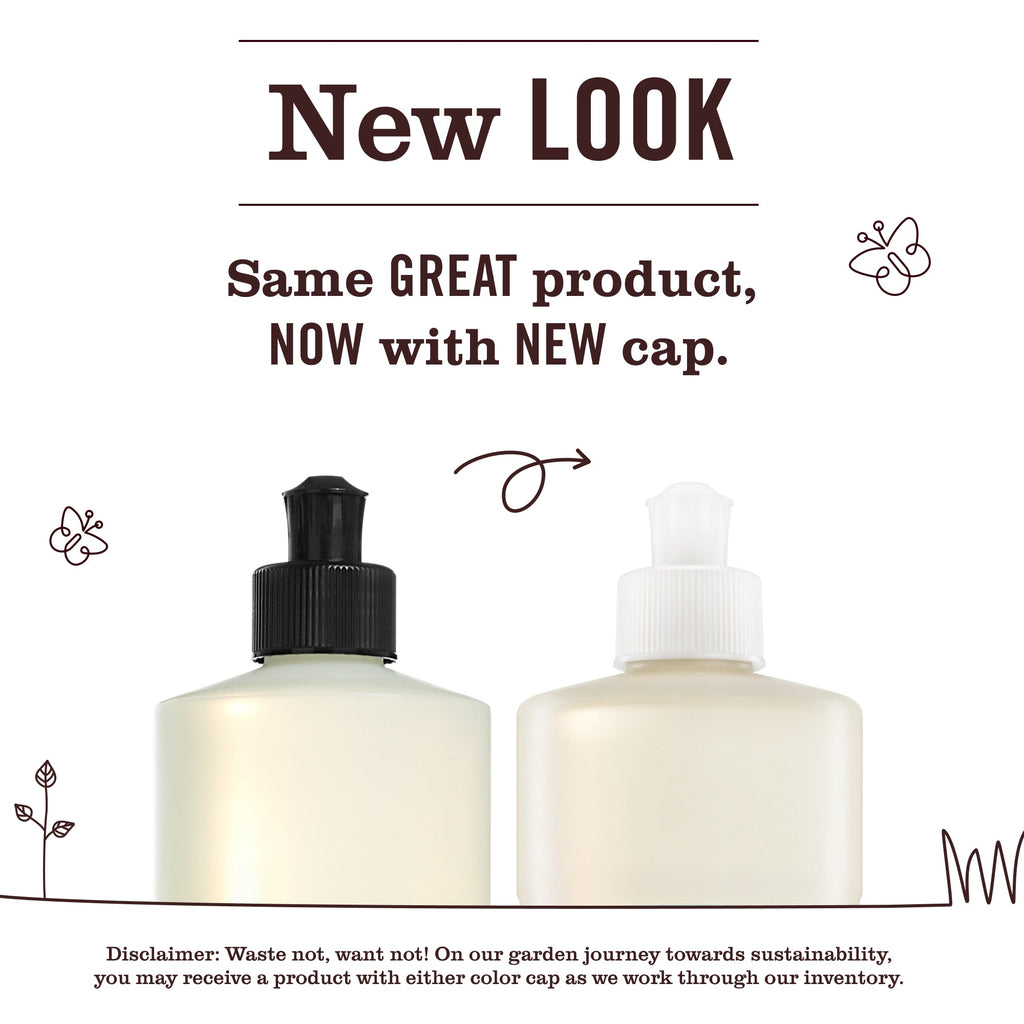 Acorn Spice Kitchen Basics Set - Home Essential