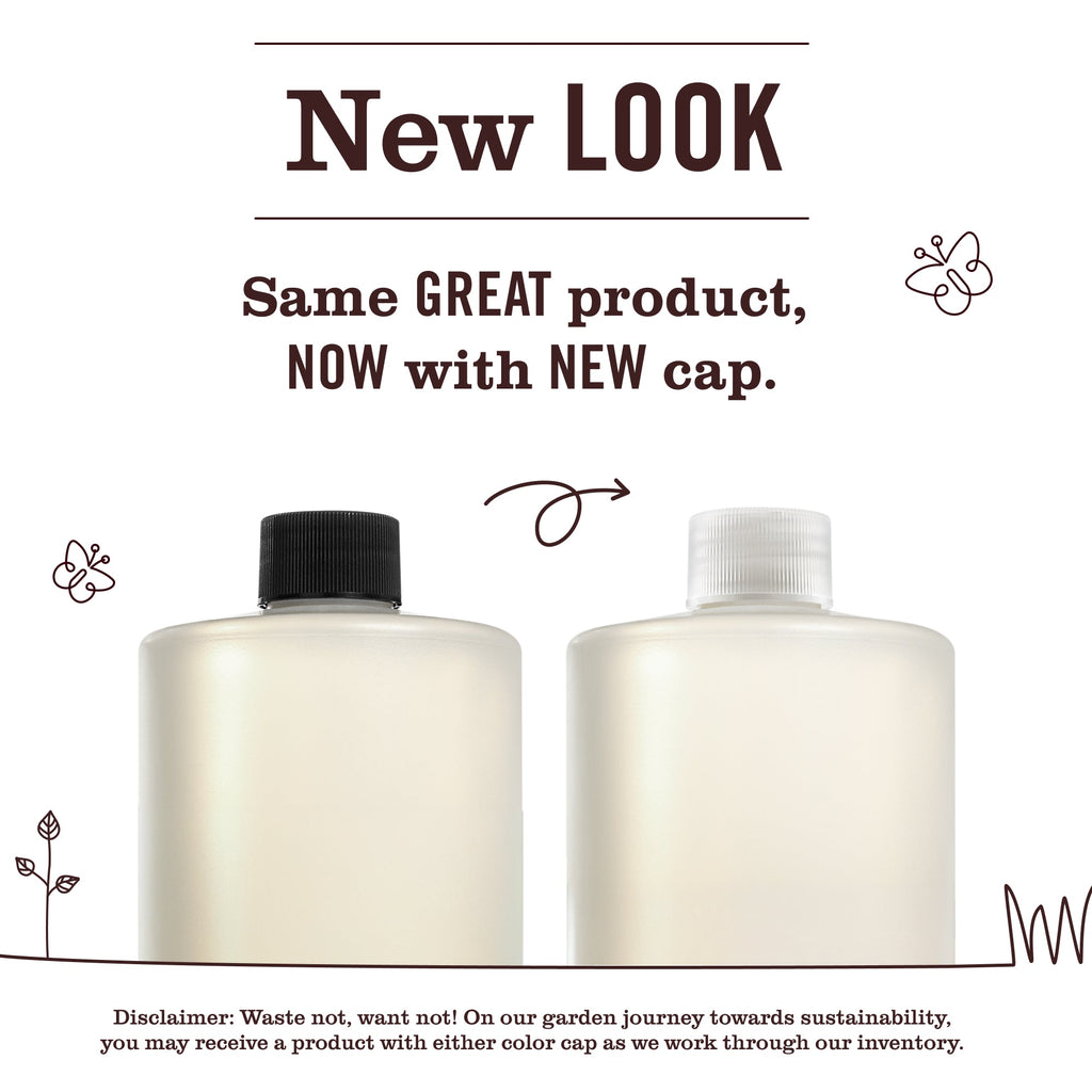 Basil Multi-Surface Concentrate - Fresh Cleaning
