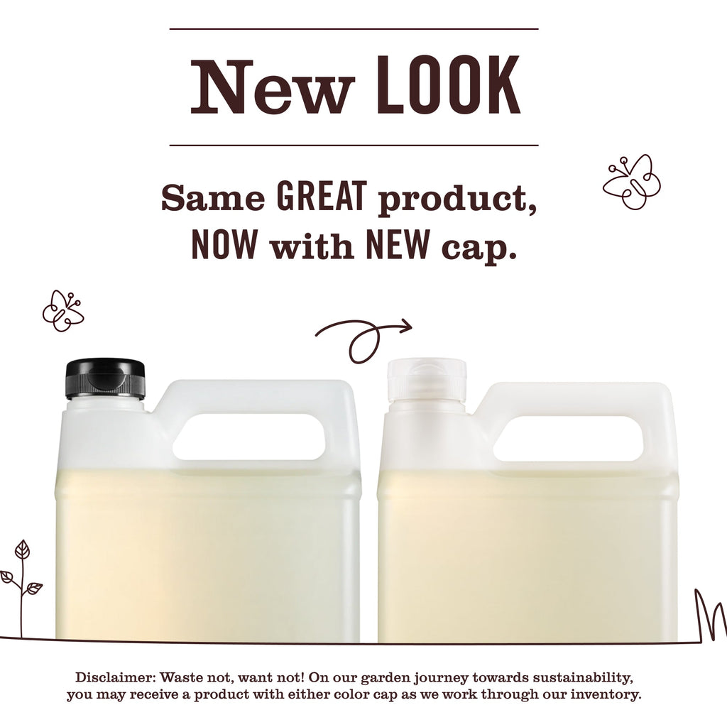 Lavender Dish Soap Refill - Kitchen Care
