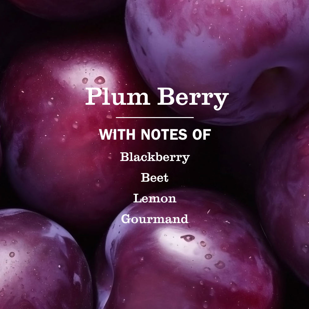 Plum Berry Liquid Hand Soap - Hand Care