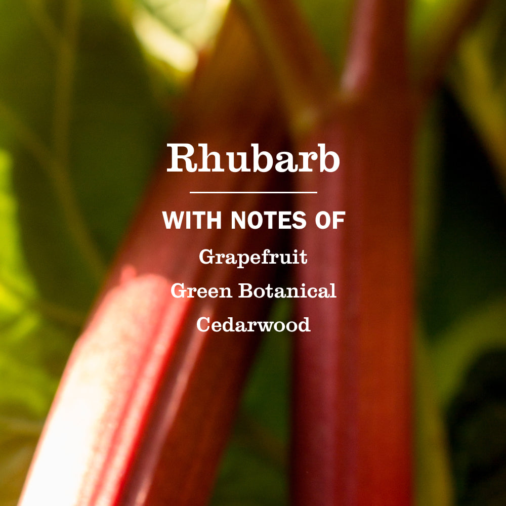 Rhubarb Liquid Hand Soap - Hand Care