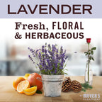 Lavender Probiotic Multi-Surface Concentrate - Fresh Cleaning