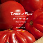Tomato Vine Kitchen Basics Set - Home Essential