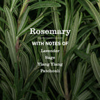 Rosemary Multi-Surface Everyday Cleaner - Fresh Cleaning