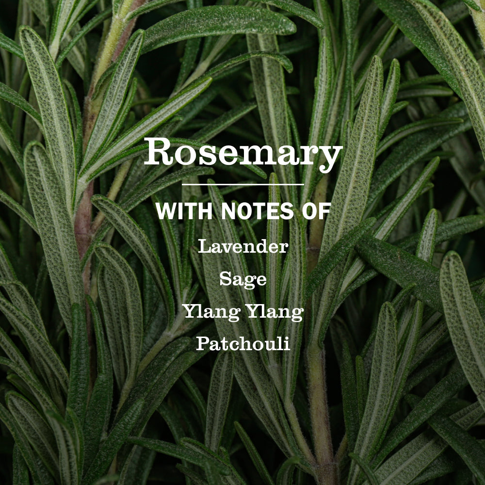 Rosemary Multi-Surface Everyday Cleaner - Fresh Cleaning